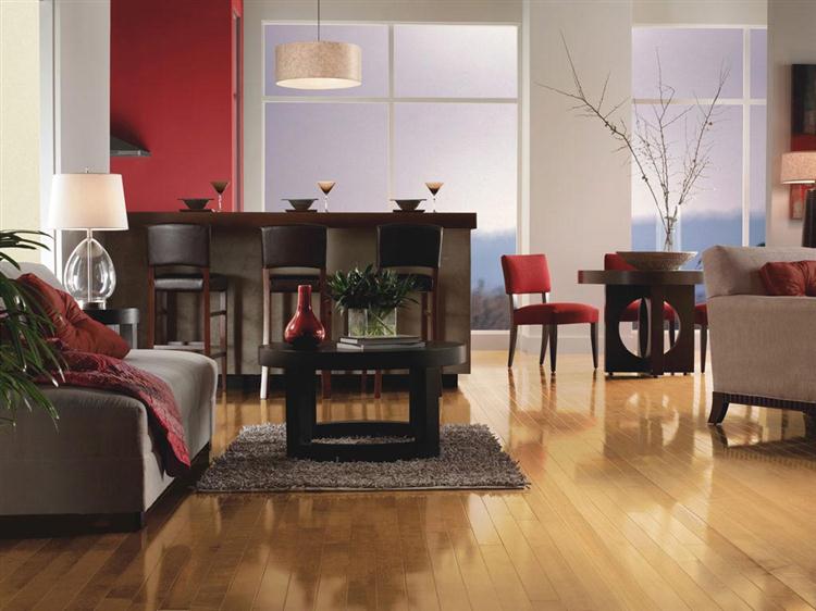 hardwood flooring in living room with red accents